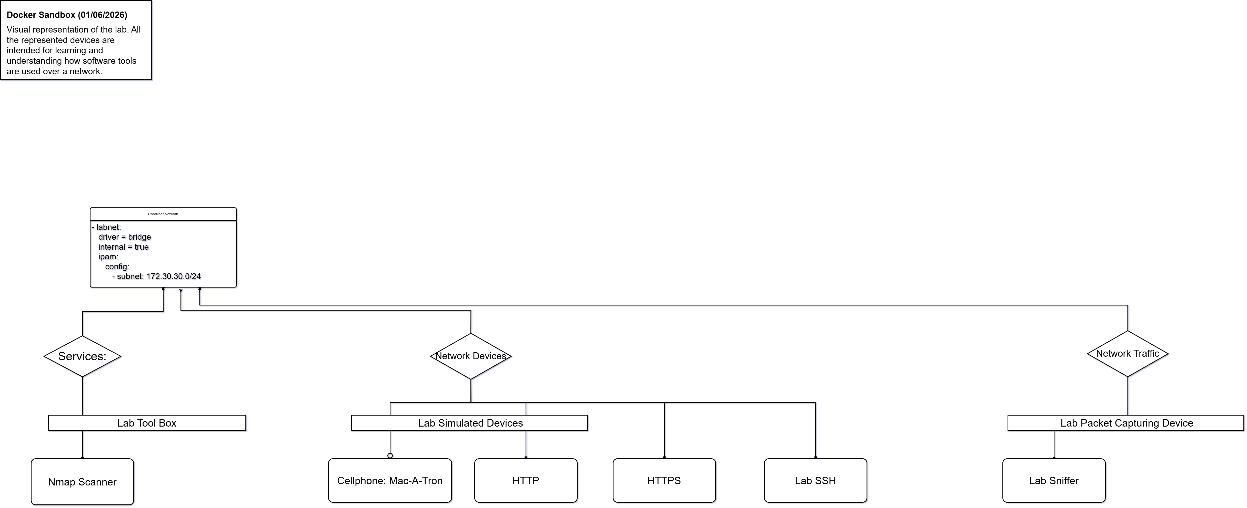 (This) Docker Sandbox relationship diagram showing container and network relationships.